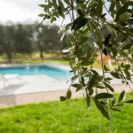 B&B Dimora La Scaledda